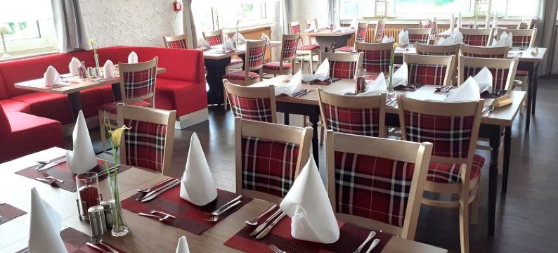 阿尔滕福斯豪斯乡村酒店(Land-Gut-Hotel Zum Alten Forsthaus - Aufladestation für Elektroautos)图片