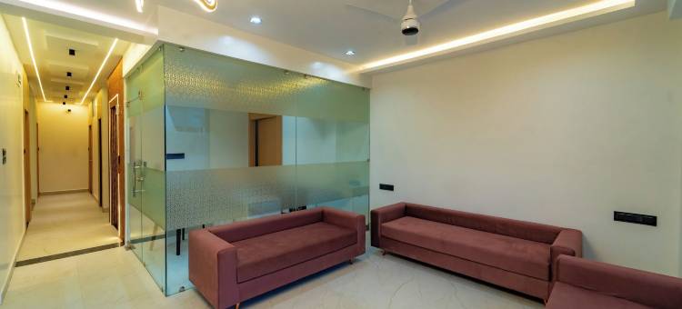 Treebo尼尔Orch(Treebo Neel Orchid)图片