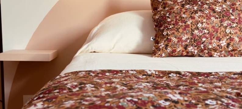 U PAMPASGIOLU 旅馆(L'auberge U PAMPASGIOLU)图片