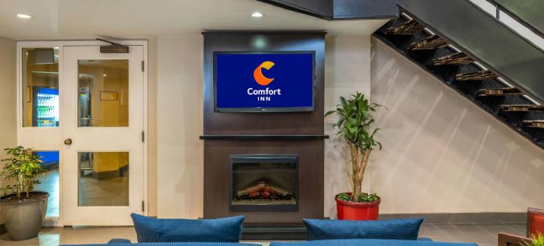 机场舒适酒店(Comfort Inn Airport)图片
