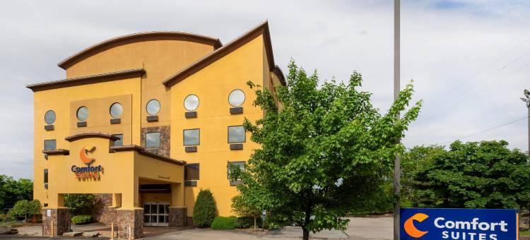 舒适套房酒店(Comfort Suites)图片