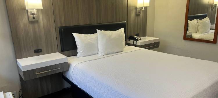 The Dylan, a Baymont by Wyndham(The Dylan, a Baymont by Wyndham)图片