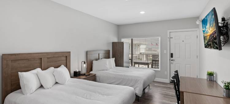 海滩屋(The Beach House)图片