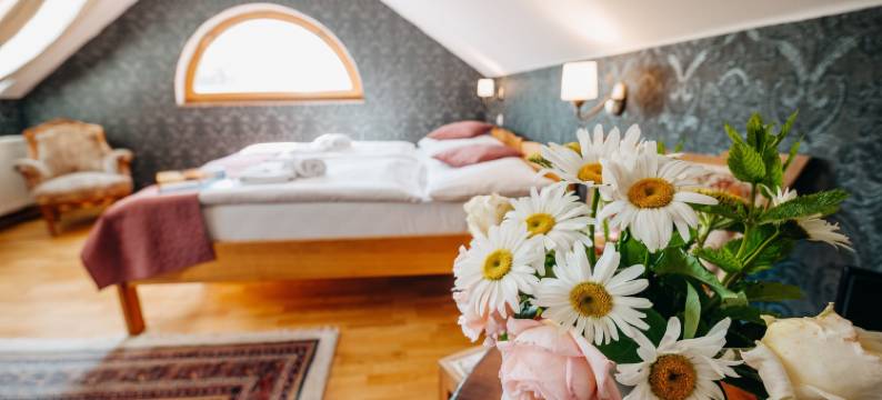 克利卡酒店(Hotel Klika)图片