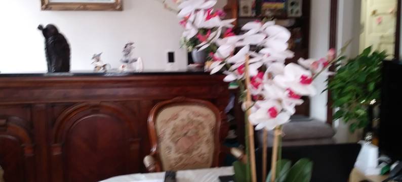 荣耀贵宾套房酒店 - 蒙顿市中心(Glory Guest Suites, Downtown Moncton)图片