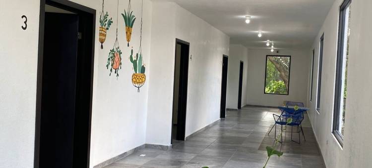 伊斯拉酒店(Hotel la Isla)图片