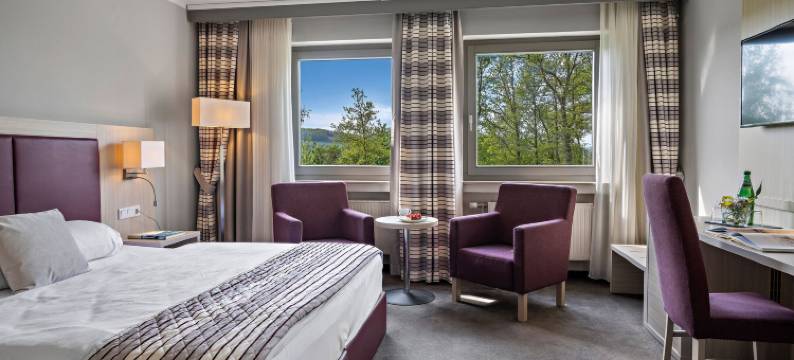 迪尔贝格会议和健康酒店(Hotel Diehlberg)图片