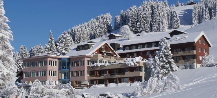 阿尔宾纳假日家庭酒店(Ferien- Und Familienhotel Alpina Adelboden)图片