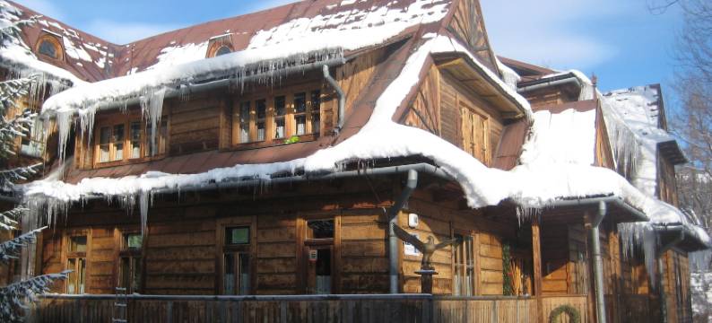 奥拉别墅(Willa Orla)图片