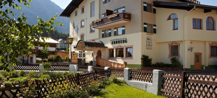 艾鹏尔恩贝格酒店(Alpenhotel Ernberg)图片