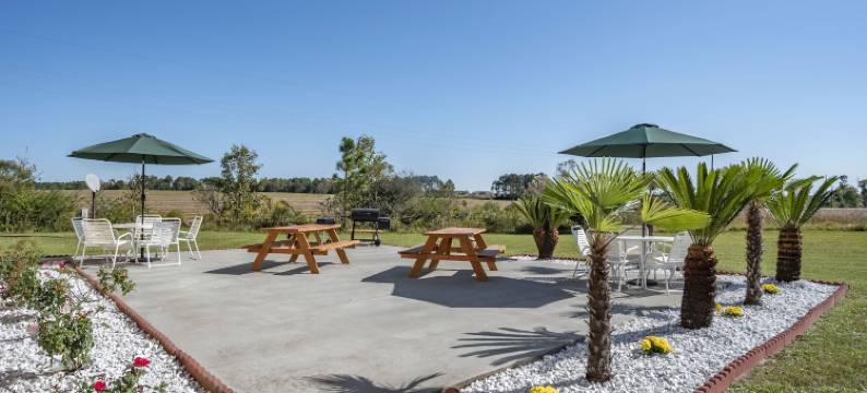 品质酒店(Quality Inn)图片