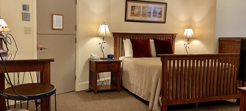 绿洲宾馆(Oasis Guest House)图片