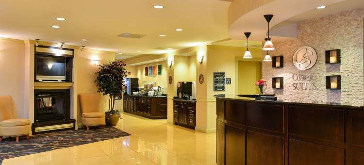 博福特-近帕里斯岛舒适套房酒店(Comfort Suites Near Mcas Beaufort)图片