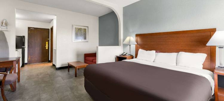 堪萨斯城机场北郊区套房酒店(Suburban Studios Kansas City Airport North)图片