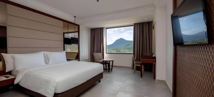 玛哥塔酒店-新加旺(Mahkota Hotel Singkawang)图片