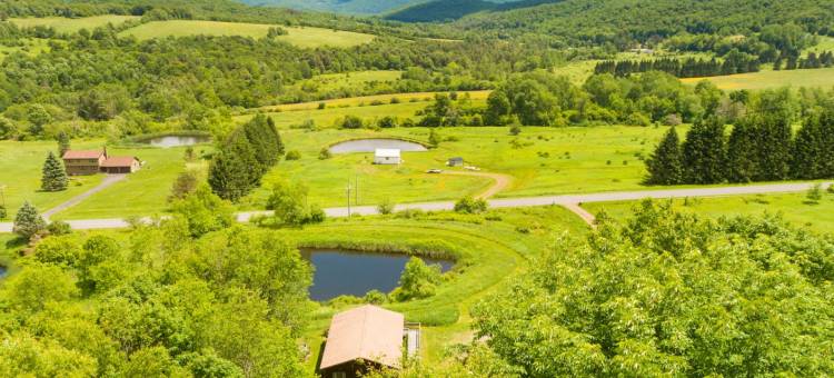 Rustic 2Br Cabin Retreat with Epic Views图片