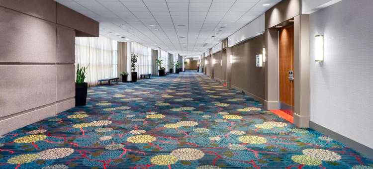 堪萨斯城奥佛兰公园希尔顿逸林酒店(DoubleTree by Hilton Kansas City - Overland Park)图片