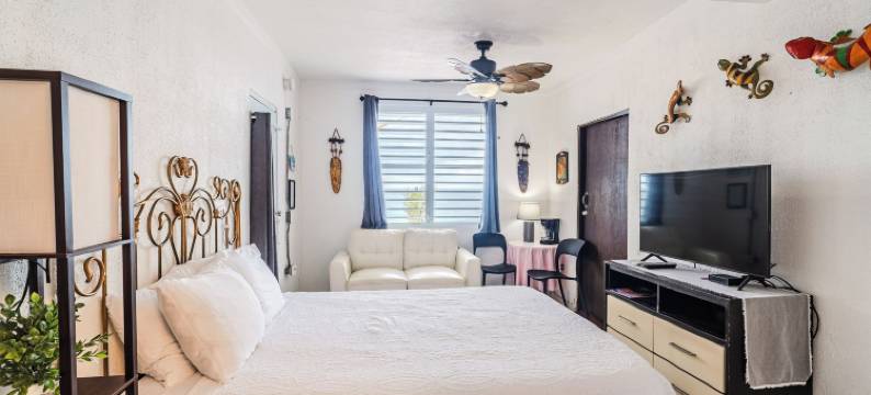 椰子棕榈树旅馆(Coconut Palms Inn)图片