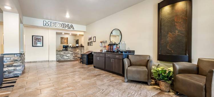 舒适酒店及套房梅迪纳纽约靠近伊利运河(Comfort Inn & Suites Medina NY Near Erie Canal)图片