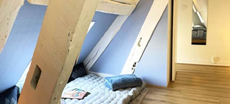 Magnificent Triplex Quiet图片