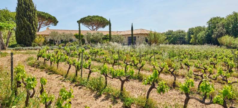 Magnificent villa - AC- 5BR-12P- Ramatuelle图片