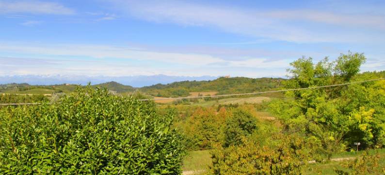 Studio in Astigiana Hills with Wine & Views图片