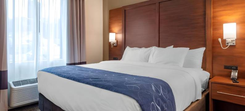 舒适套房酒店(Comfort Suites)图片