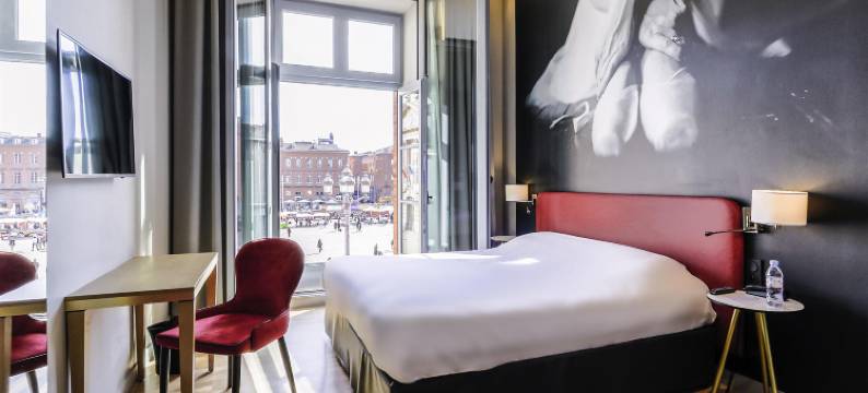 宜必思尚品图卢兹中心卡比托利欧酒店(Ibis Styles Toulouse Centre Capitole)图片