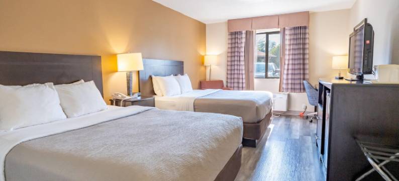 麦迪逊东太阳牧场品质酒店(Quality Inn & Suites Sun Prairie Madison East)图片