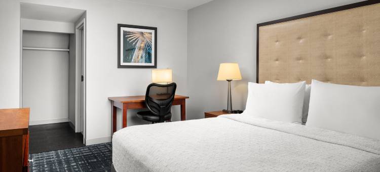 希尔顿旗下杜勒斯北-劳登家园套房酒店(Homewood Suites by Hilton District of Columbia - Dulles-North/Loudoun)图片