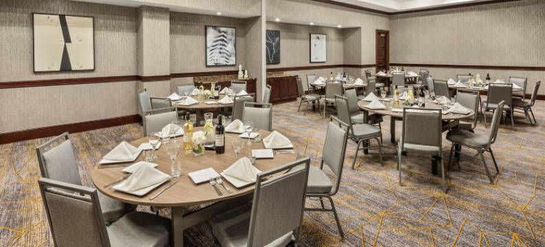 德卢斯喜来登酒店(Sheraton Duluth Hotel)图片