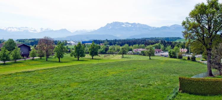 卢塞恩-诺伊恩基希智选假日酒店(Holiday Inn Express Luzern - Neuenkirch by IHG)图片