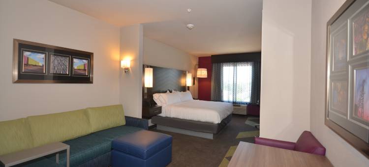 智选假日套房酒店俄克拉何马城(Holiday Inn Express & Suites OKLAHOMA CITY MID - ARPT AREA by IHG)图片