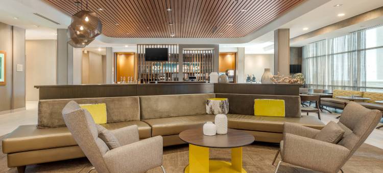 夏洛特西南万豪SpringHill Suites酒店(SpringHill Suites Charlotte Southwest)图片