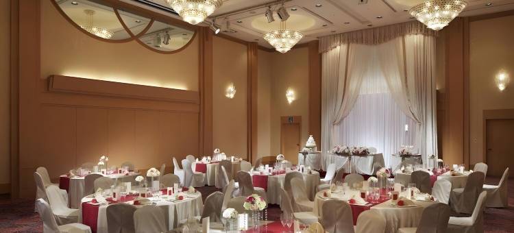 神户三田希莱顿高级酒店(The Celecton Premier Kobe Sanda Hotel)图片