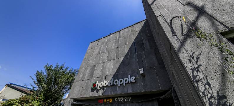 忠州苹果酒店(Chungju Apple Hotel)图片