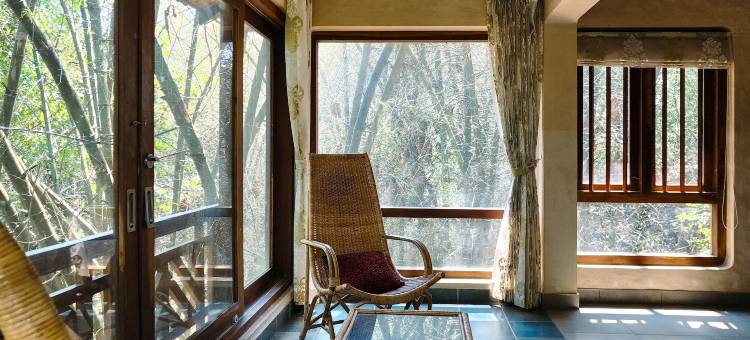 交谈树(Talking Trees)图片