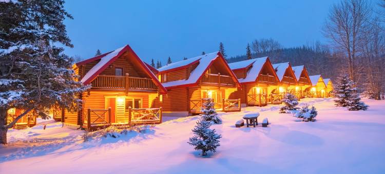 Miette Mountain Cabins图片