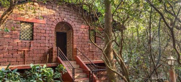 Nature Trails Rock Valley, Goa图片