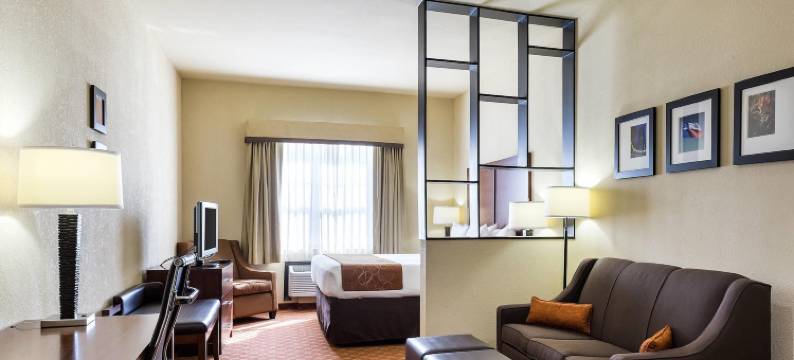 克利尔莱克舒适套房酒店-近NASA(Comfort Suites Near NASA - Clear Lake)图片