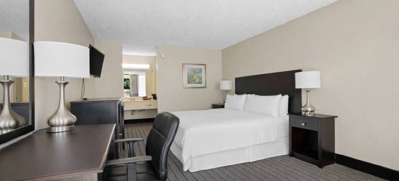 弗朗西斯酒店(Hotel Francis)图片