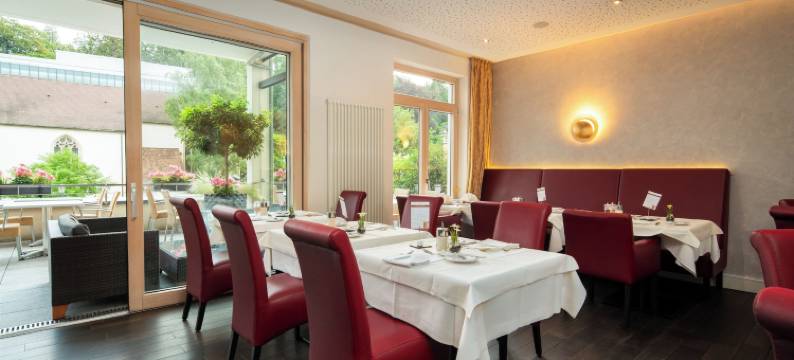 水西城安东特尔蒙酒店(Aqua Aurelia Suitenhotel an den Thermen)图片