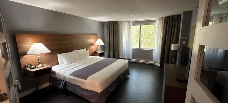 蒙特利尔中心维莱科洛姆酒店(Hotel Chrome Montreal Centre-Ville)图片
