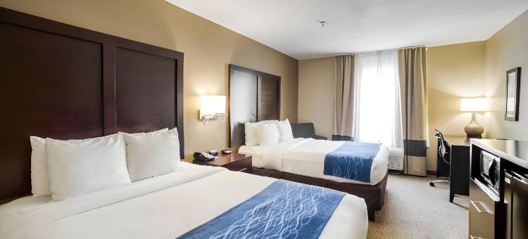 舒适套房酒店FM1960-Champions(Comfort Inn & Suites FM1960-Champions)图片