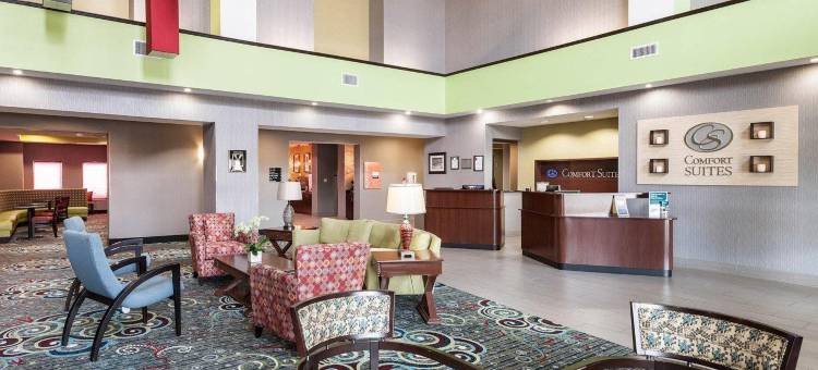格林维尔舒适套房酒店(Comfort Suites Greenville)图片