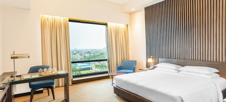 赖布尔Hyatt酒店(Hyatt Raipur)图片