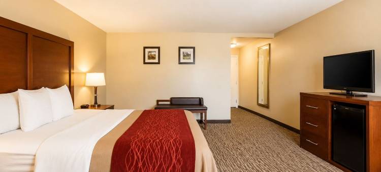波莫纳展览中心舒适酒店(Comfort Inn Pomona Near Fairplex)图片