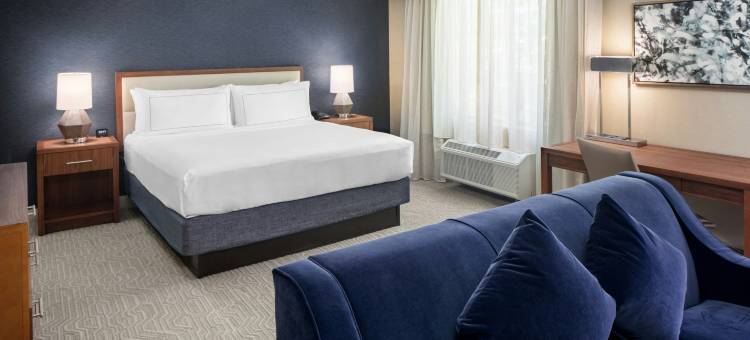 安阿伯北希尔顿逸林酒店(Doubletree by Hilton Ann Arbor North)图片