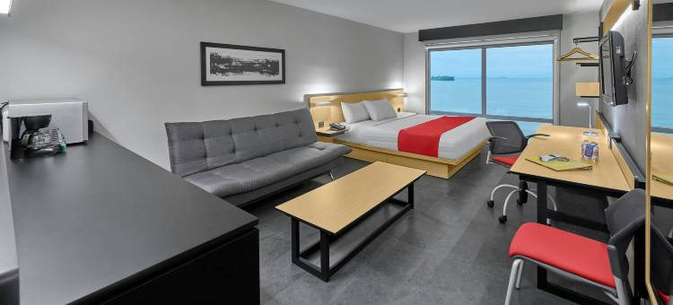 韦拉克鲁斯城市快捷酒店(City Express by Marriott Veracruz)图片