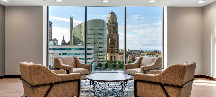 布法罗希尔顿安泊酒店(Embassy Suites by Hilton Buffalo)图片